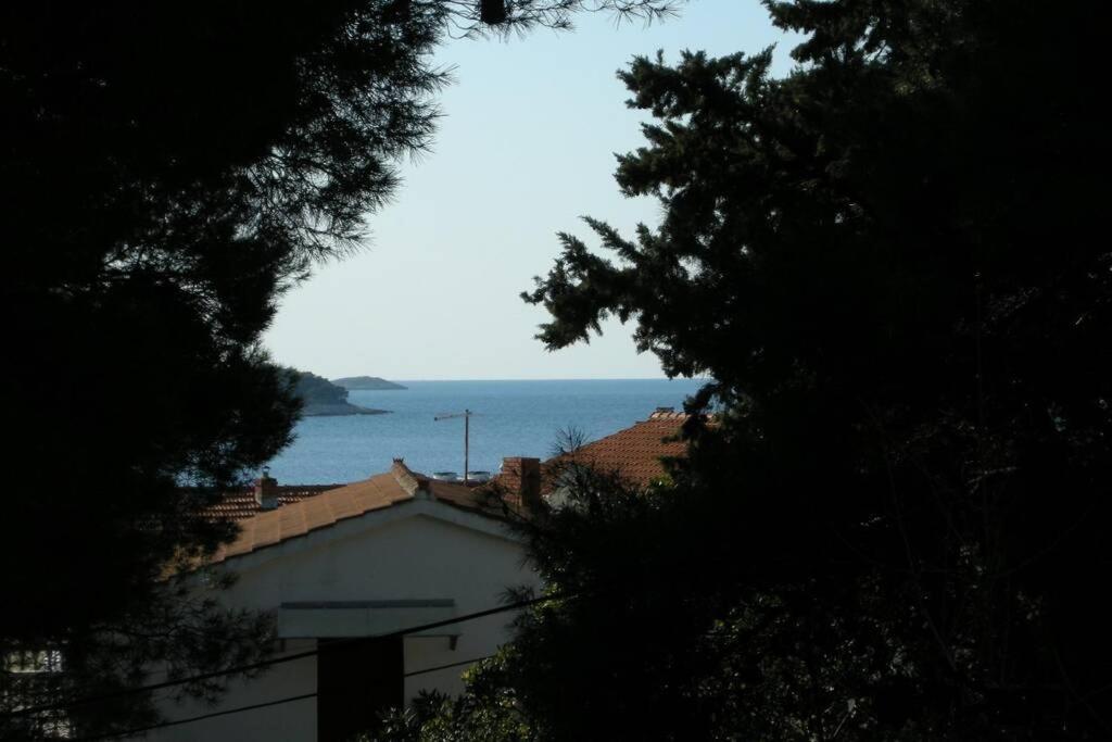 Whole Villa In Primošten Eksteriør bilde